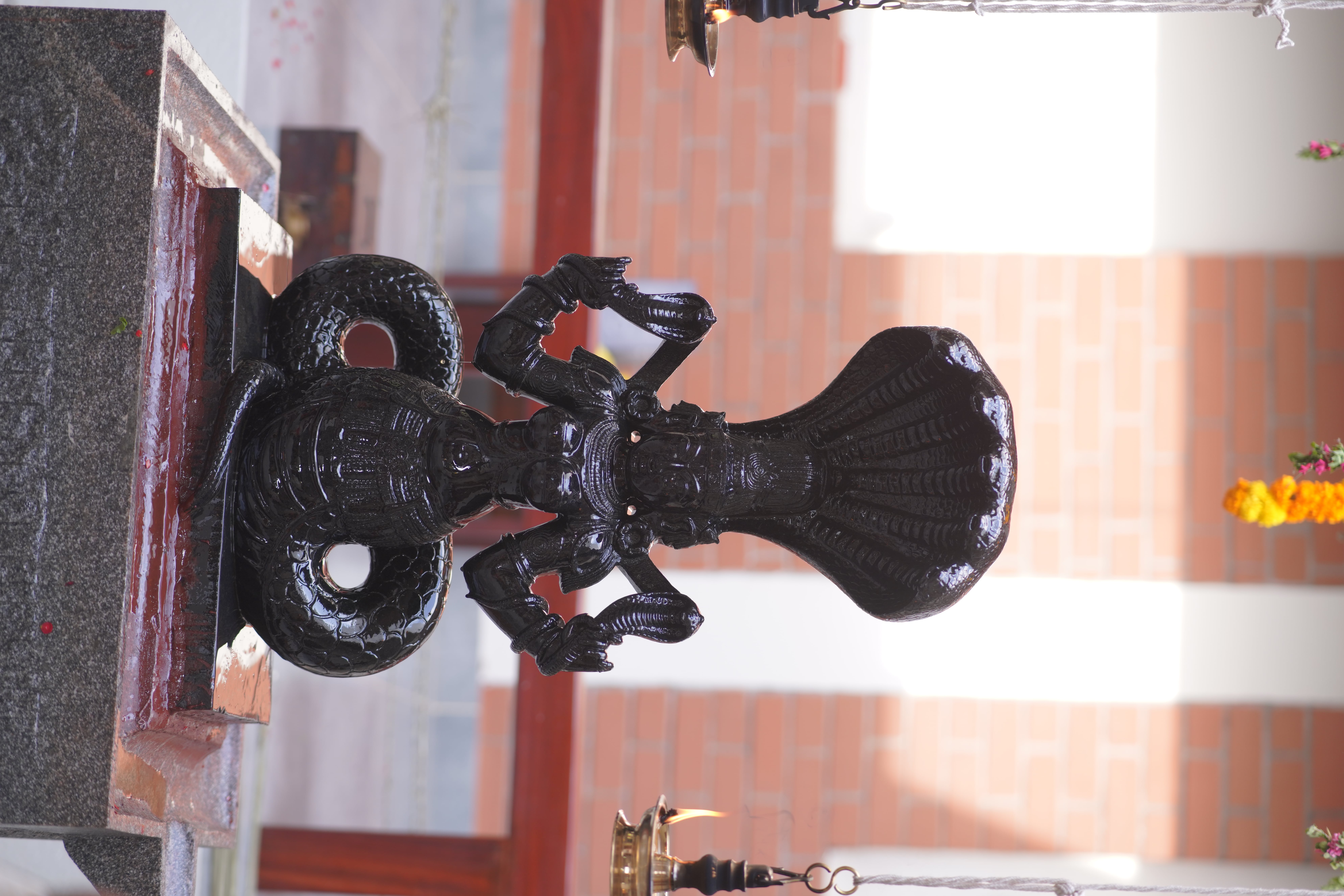 Naga Kanni Pratishtha — 31